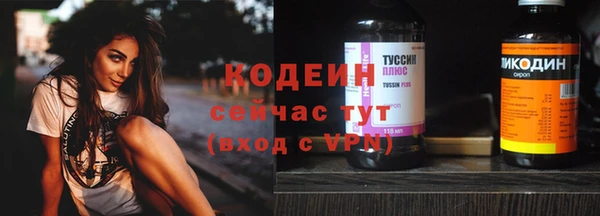 индика Семилуки