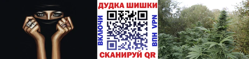 где найти   Краснослободск  Канабис MAZAR 